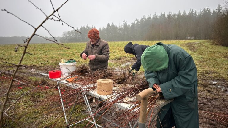 16 jan bomen sorteren en opbossen