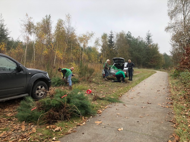 20241101 Oude Willem bundelen