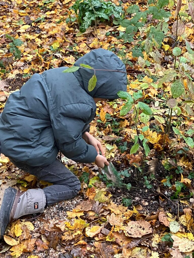 23 nov Gemeente Leiden schep je eigen boompje uit