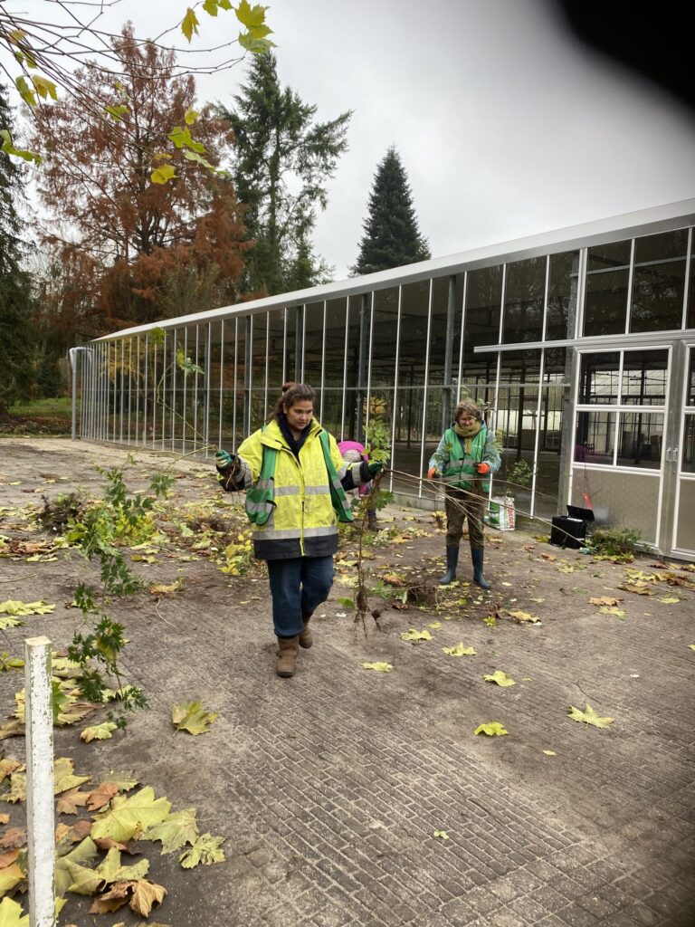 481199447_557162320709718_1071722878463976354_n