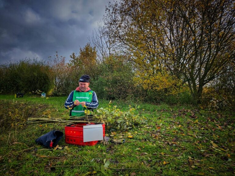 Afbeelding van WhatsApp op 2024-11-13 om 14.02.46_004f1c7d