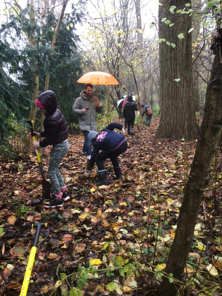 Afbeelding van WhatsApp op 2024-11-27 om 10.16.21_43f404f5