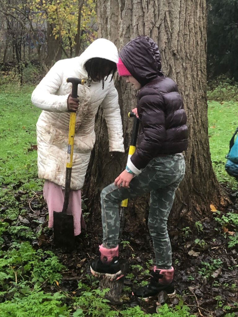 Afbeelding van WhatsApp op 2024-11-27 om 10.59.00_7ea0b7d7