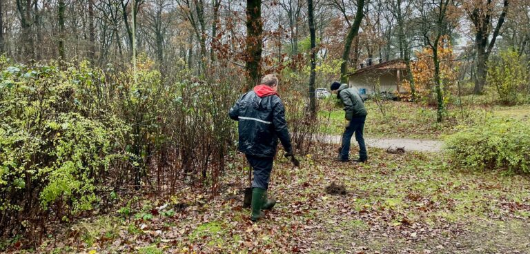 Afbeelding van WhatsApp op 2024-11-27 om 14.21.59_cfee9ee0