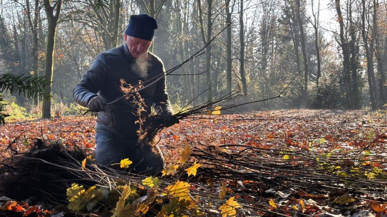 Afbeelding van WhatsApp op 2024-11-29 om 12.11.24_1988d206