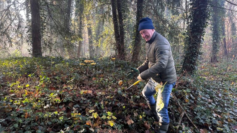 Afbeelding van WhatsApp op 2024-11-29 om 12.11.24_e276f711