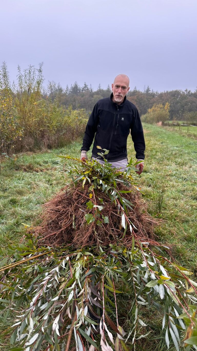 Afbeelding van WhatsApp op 2024-12-04 om 13.35.39_dc7e1ff4