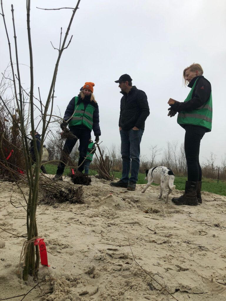 Afbeelding van WhatsApp op 2024-12-14 om 10.03.48_71543eb0