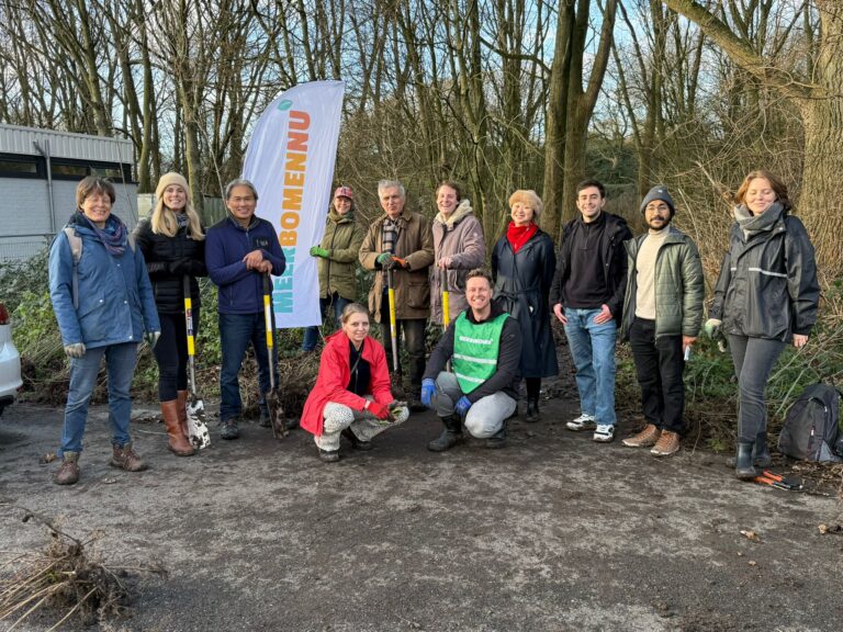 Afbeelding van WhatsApp op 2025-01-10 om 16.25.24_42b44add