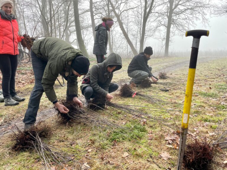 Afbeelding van WhatsApp op 2025-01-11 om 13.23.43_a70a9f15