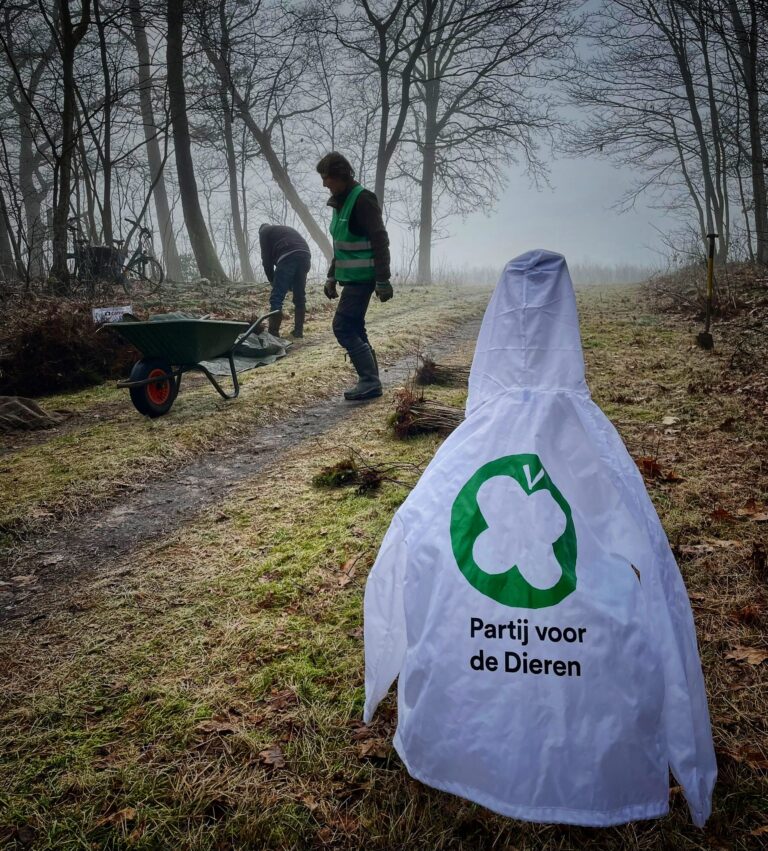 Afbeelding van WhatsApp op 2025-01-13 om 12.26.07_e32facbf