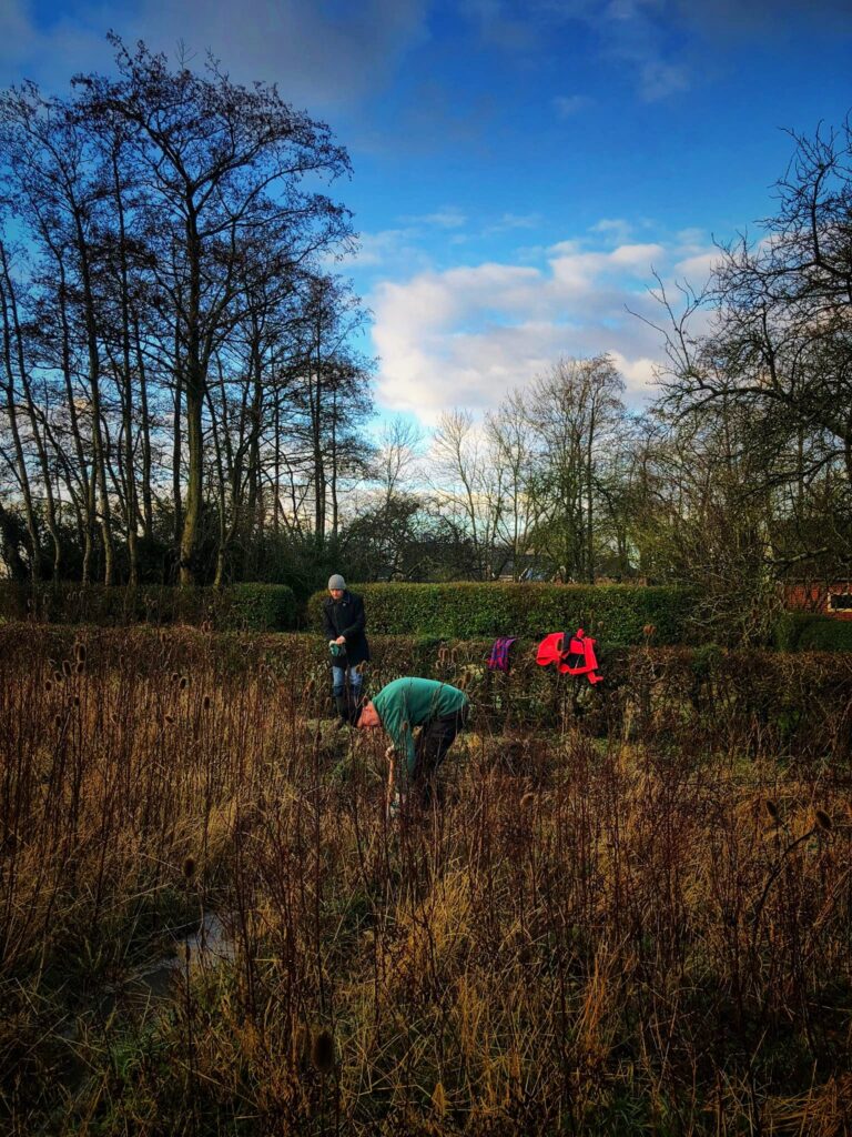 Afbeelding van WhatsApp op 2025-01-13 om 12.36.47_650a03eb