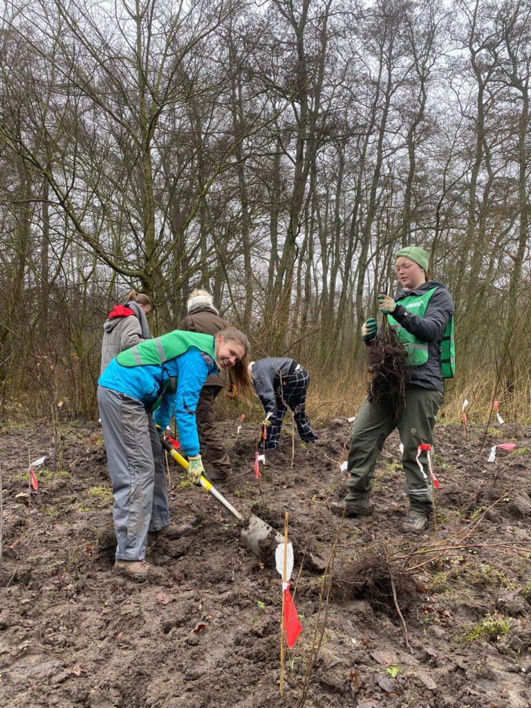 Afbeelding van WhatsApp op 2025-01-17 om 15.39.31_5ecf8147