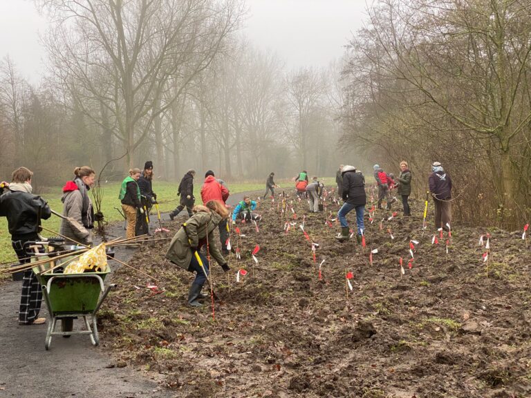 Afbeelding van WhatsApp op 2025-01-17 om 15.39.32_6b32992e