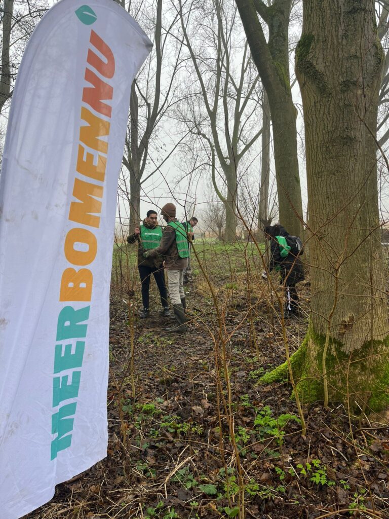 Afbeelding van WhatsApp op 2025-01-17 om 15.42.41_c7617ed6