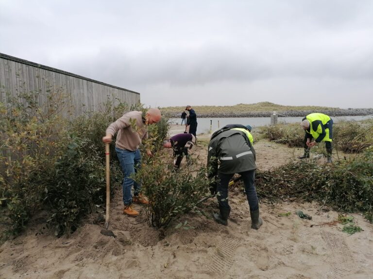 Marker Wadden dec 2025 2