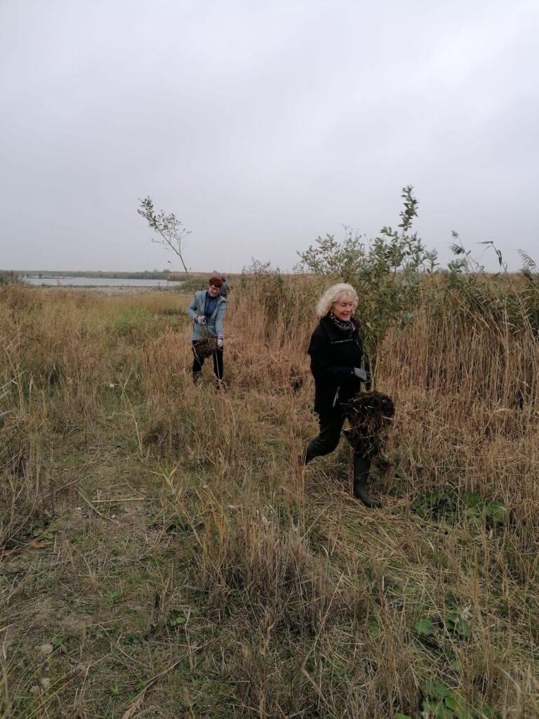 WhatsApp Image 2024-11-01 at 17.25.16