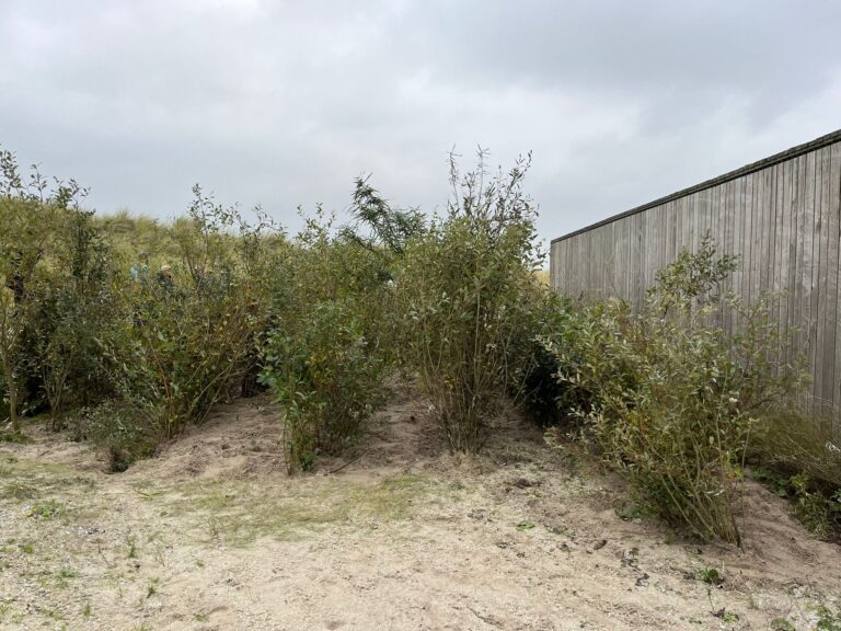 WhatsApp Image 2024-11-02 at 12.10.53 (1)