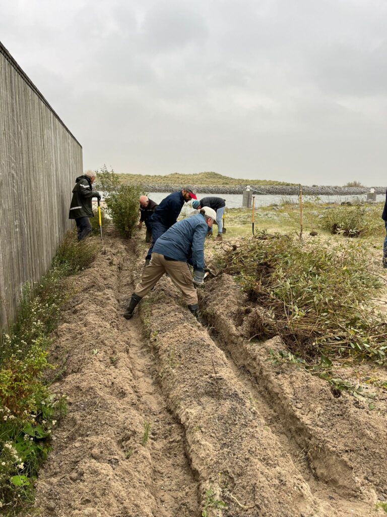 WhatsApp Image 2024-11-02 at 12.10.53