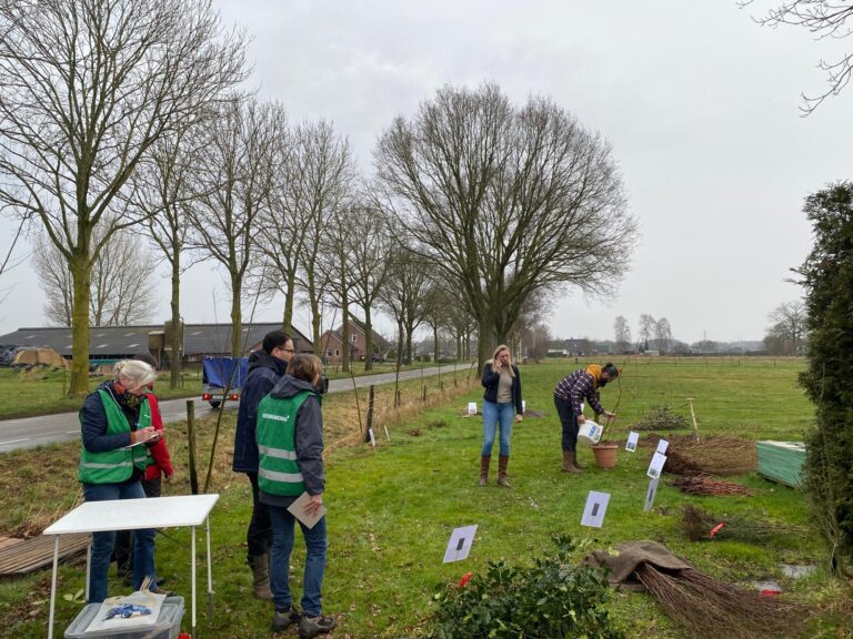 WhatsApp Image 2025-02-22 at 15.53.52