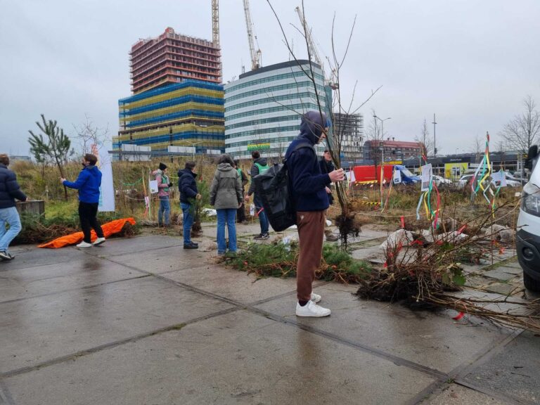 carweide bomenhub in Den Haag 1