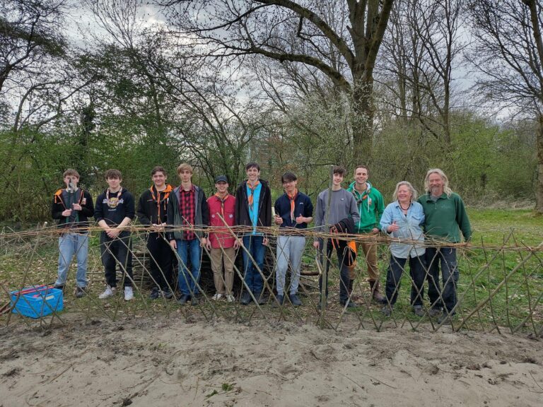 signal-2025-03-24-113640