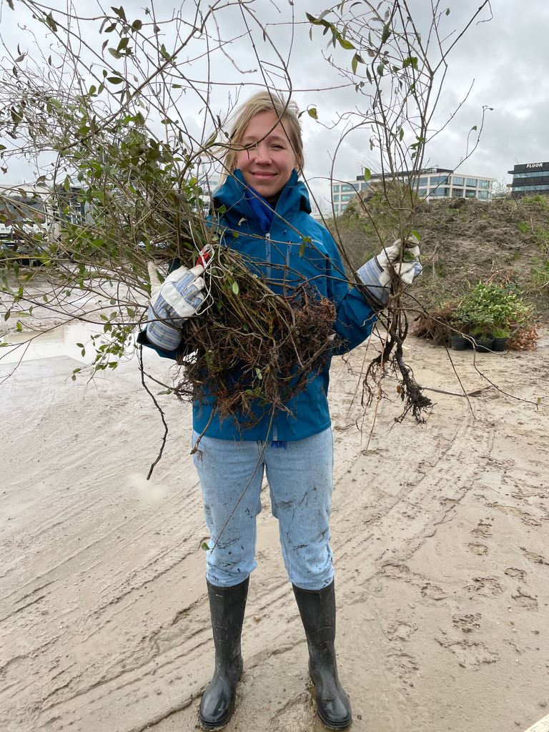 8851DAB7-3C65-4457-9AE9-6130AEEB60AB_1_105_c