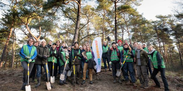 Oogsten jonge boompjes om heideveldje te beschermen tegen dichtgroeien, 10 januari 2025 op landgoed Beerschoten.